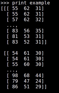 Loading and processing the images