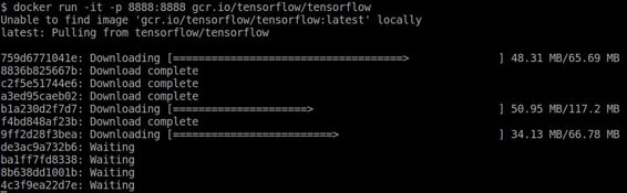 Run the TensorFlow container