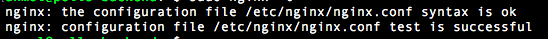 _images/nginx-t.png