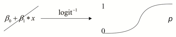 Final estimated regression equation