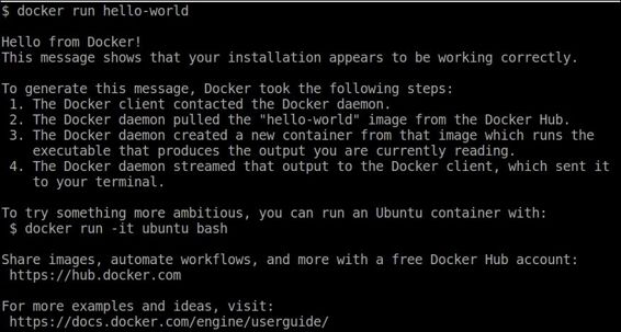 Testing the Docker installation